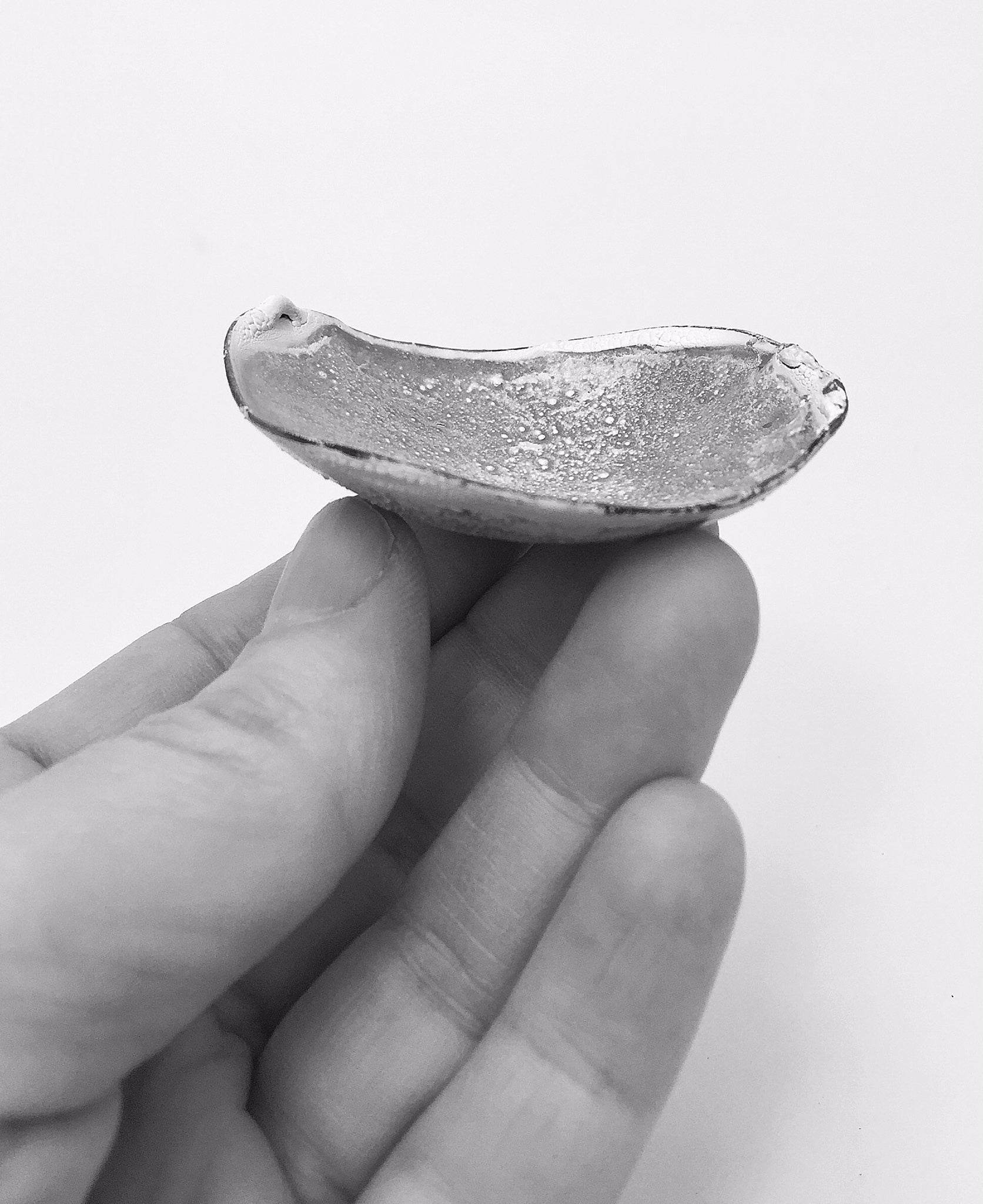 Jewelry Bowl (Artist Pick)